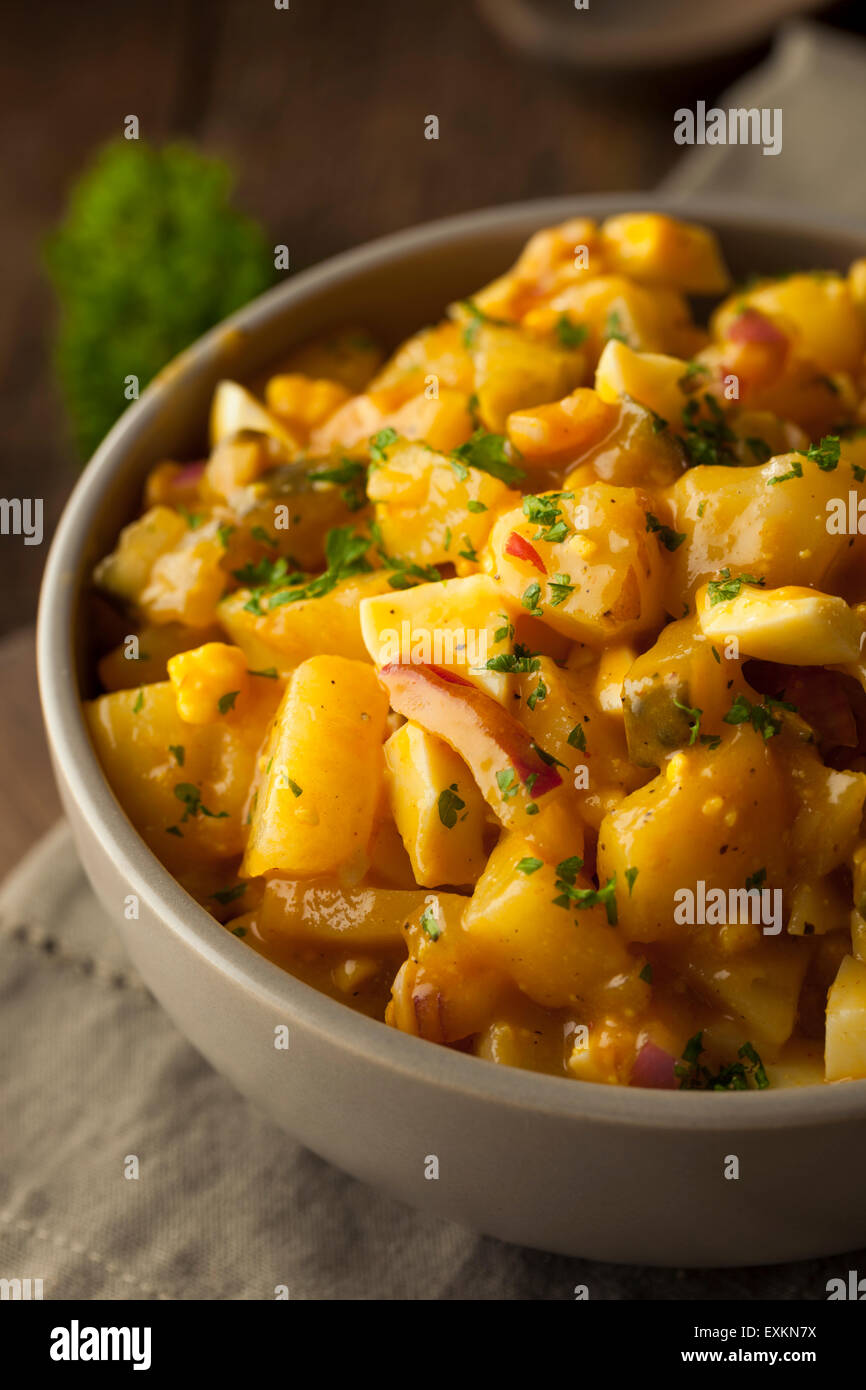 Barbecue-Sauce-Kartoffel-Salat mit Ei und Zwiebeln Stockfoto