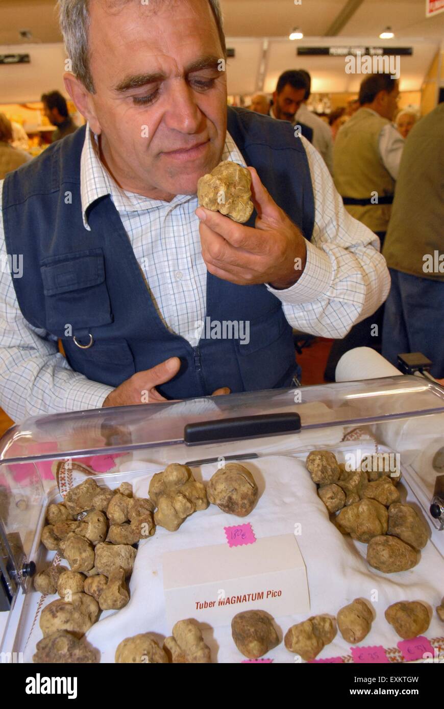 Trüffelmarkt in Alba, Piemont, Italien, typische Aktion von schnüffeln die weiße Trüffel Stockfoto
