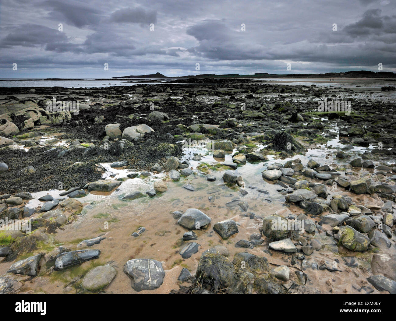 Embleton Strand northumberland Stockfoto