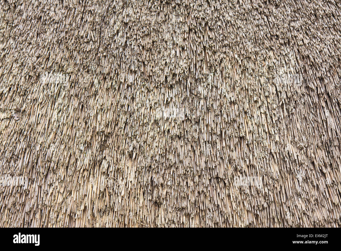 Timber and thatch construction -Fotos und -Bildmaterial in hoher ...