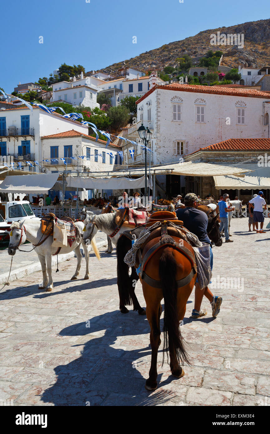 Maultiere am Kai im Zentrum Hydra warten gemietet werden Stockfoto