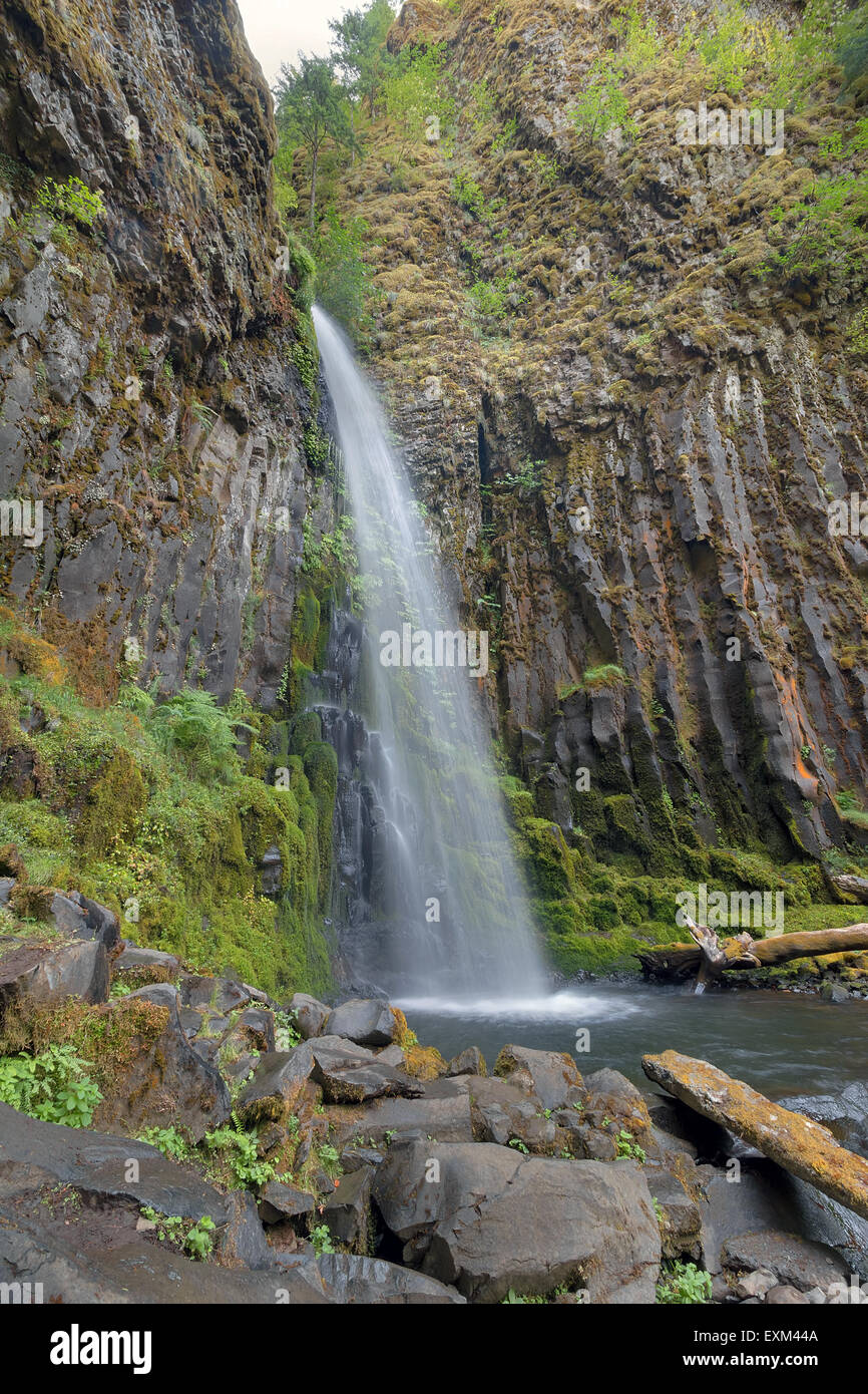 Dry Creek Falls auf Pacific Crest Trail im Columbia River Gorge National Scenic Forest in Oregon vertikal Stockfoto