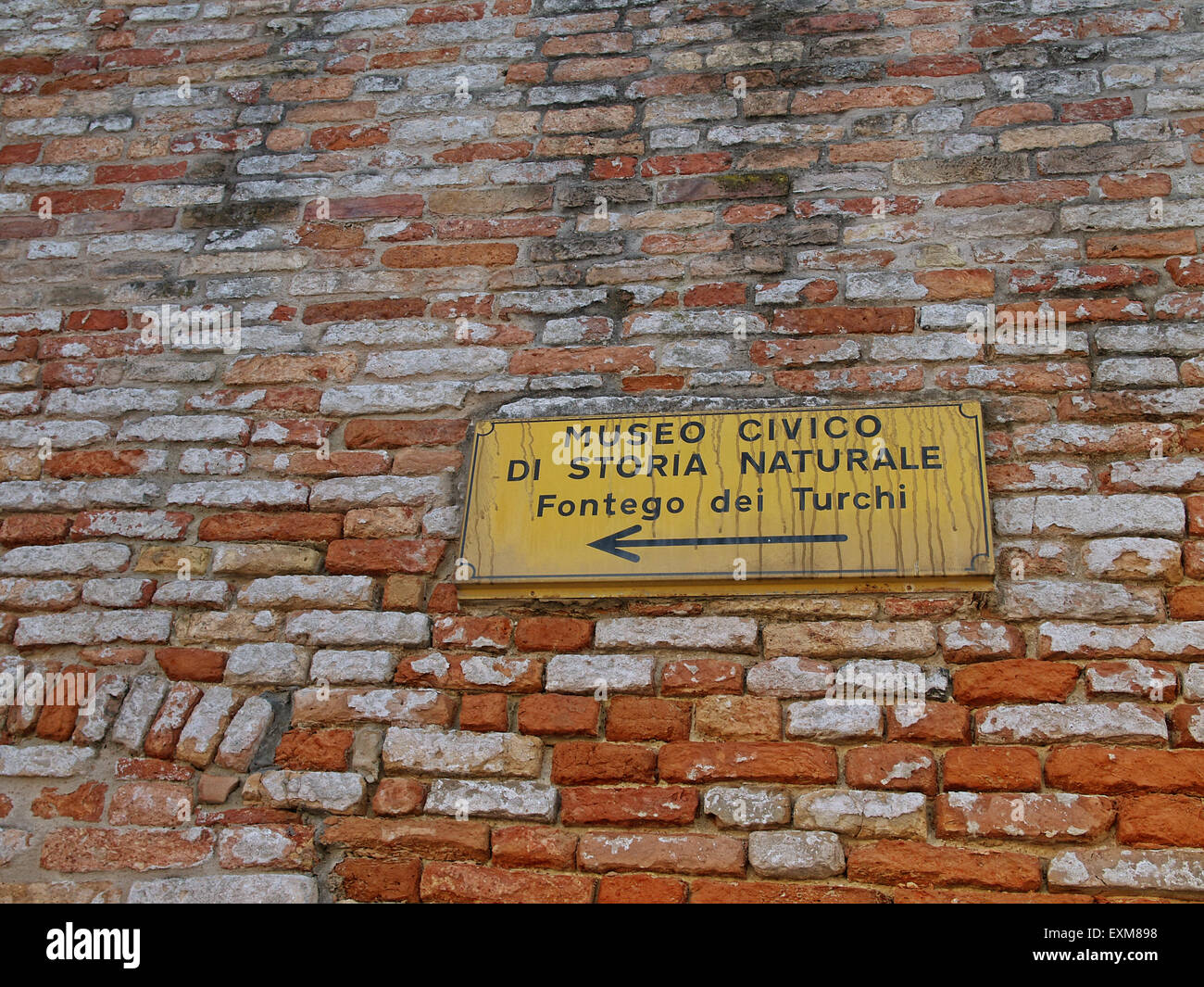 Richtungssignal zum Natural History Museum von Venedig auf einer Mauer. Venedig. Italien. Stockfoto