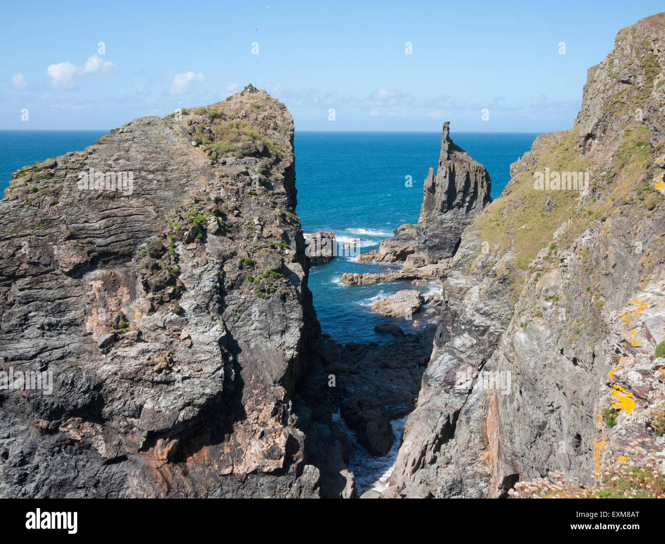 Eine Felsformation an der zerklüfteten Küste zwischen Padstow und Trevone North Cornwall UK Stockfoto