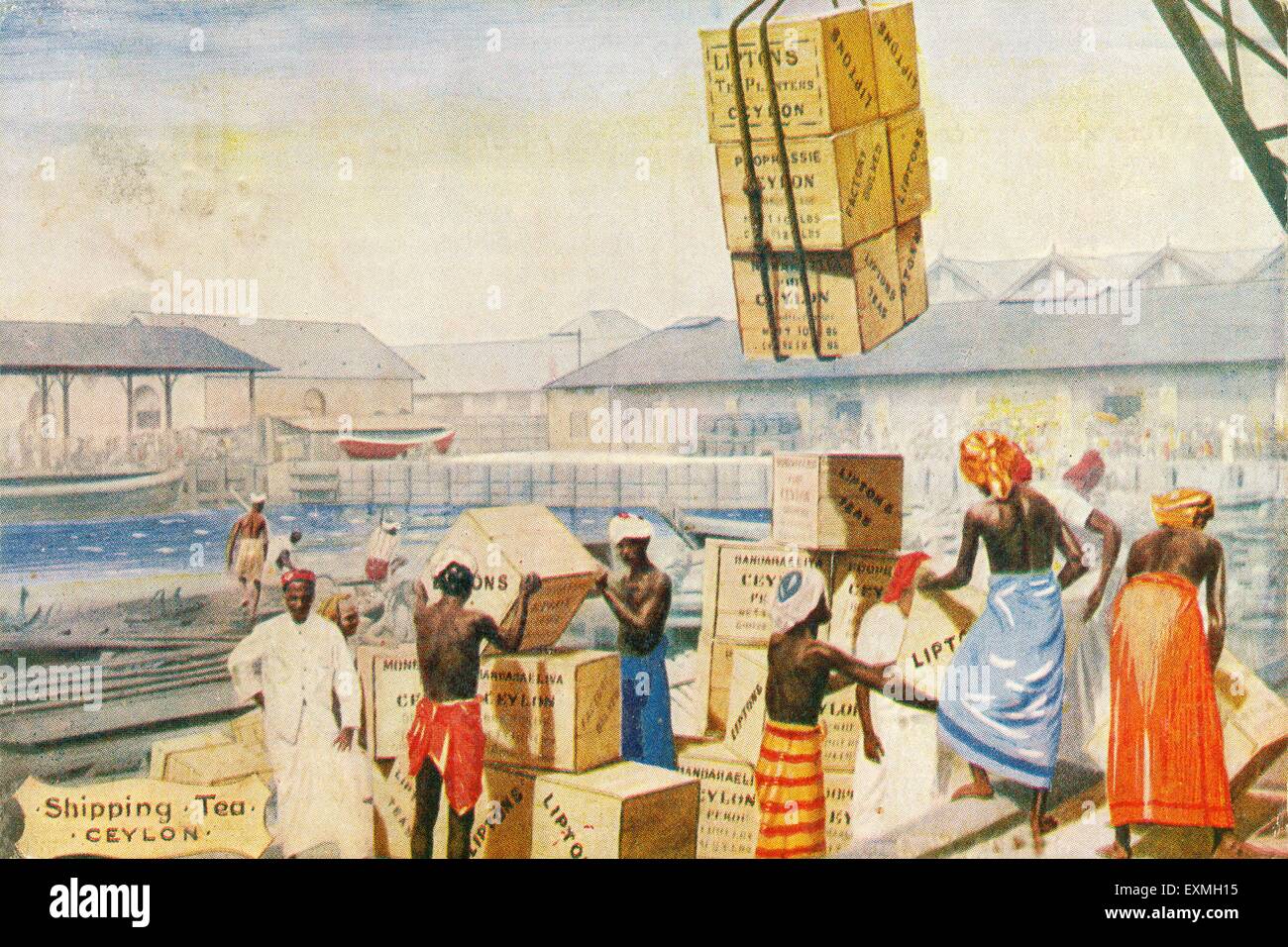 Alte Bild Jahrgang 1900s Versand Lipton Tee nach Ceylon ; Sri Lanka , Asien Stockfoto