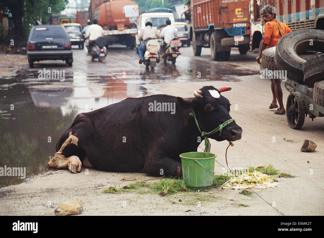 Kuh sitzen auf Road Bombay Mumbai Maharashtra, Indien Stockfoto