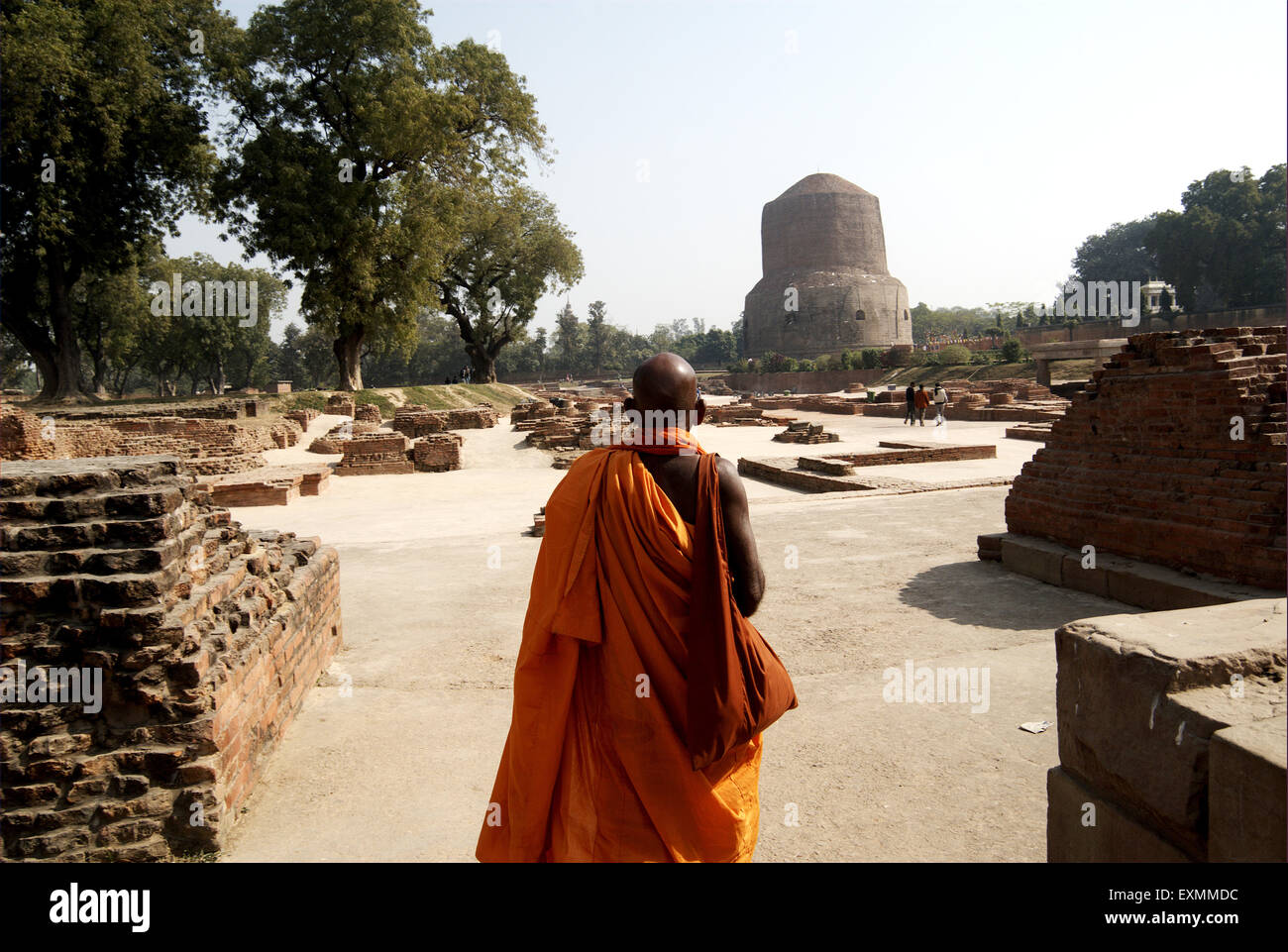 Ein buddhistischer Mönch geht in den Ruinen von Sarnath; wo lebte Lord Gautama Buddha Dhamekh Stupa Sarnath Uttar Pradesh Stockfoto