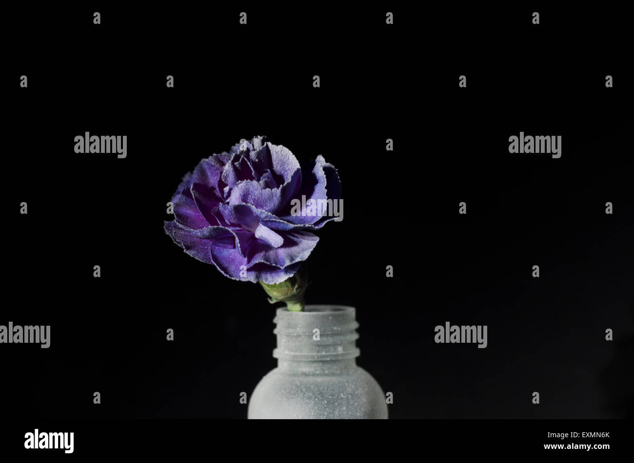Blumen in der vase Stockfoto