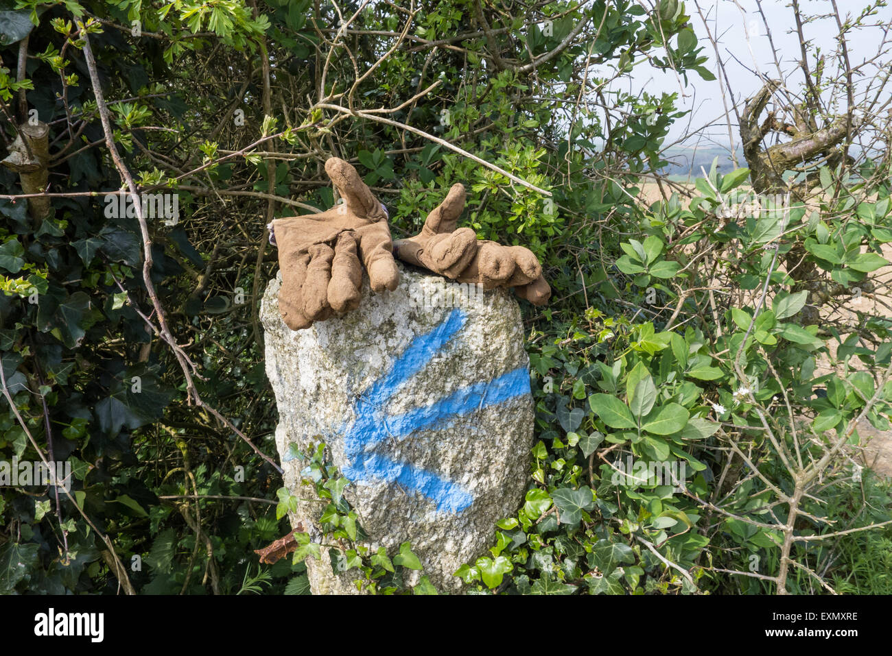 Cornwall, England. Workman Handschuhe auf einem Stein markiert mit einem blauen Pfeil nach links. Stockfoto