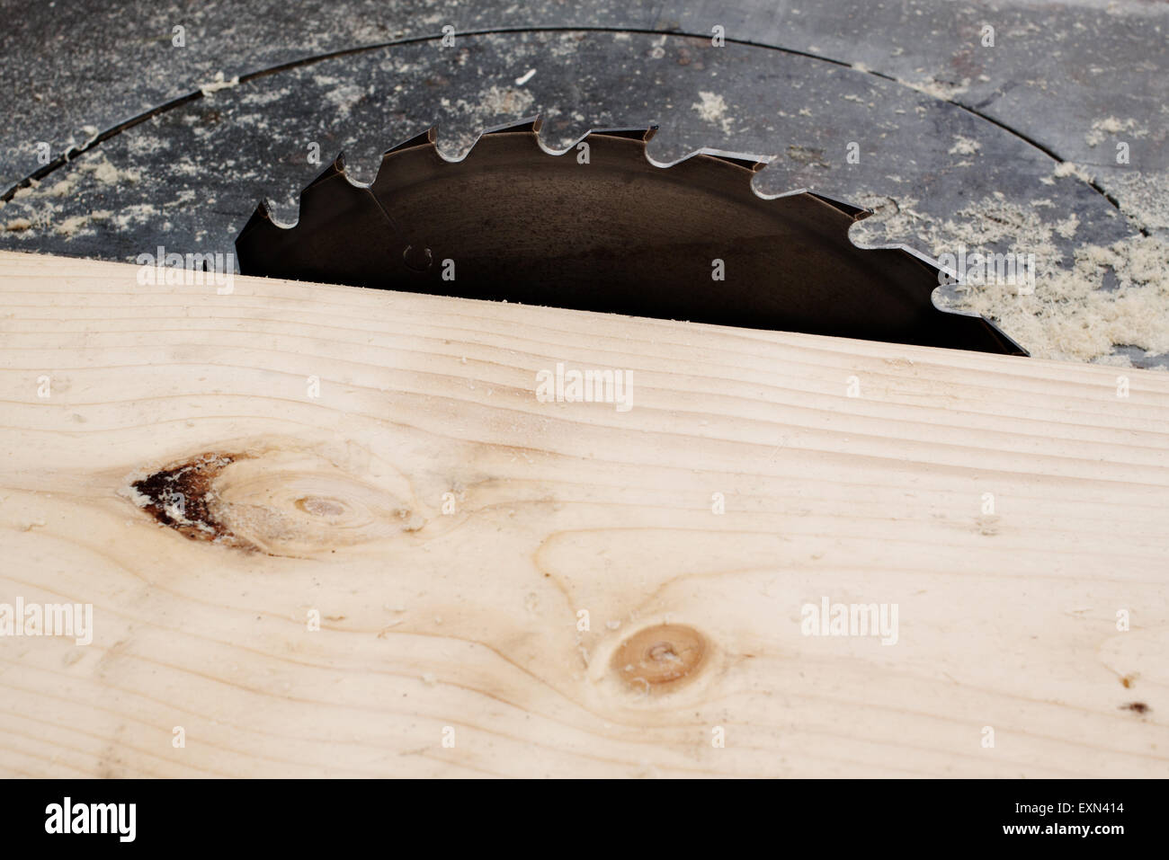 Elektrische Kreissäge Nahaufnahme für Holzzuschnitt Stockfoto