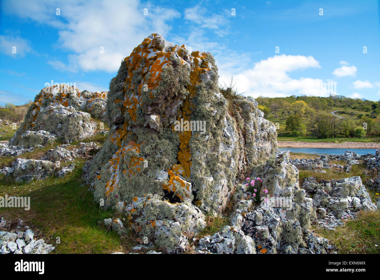 Vulkangestein und Flechten Stockfoto