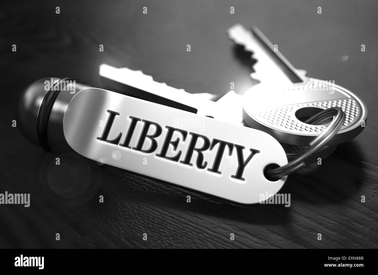 Liberty-Konzept. Schlüssel mit Schlüsselring. Stockfoto