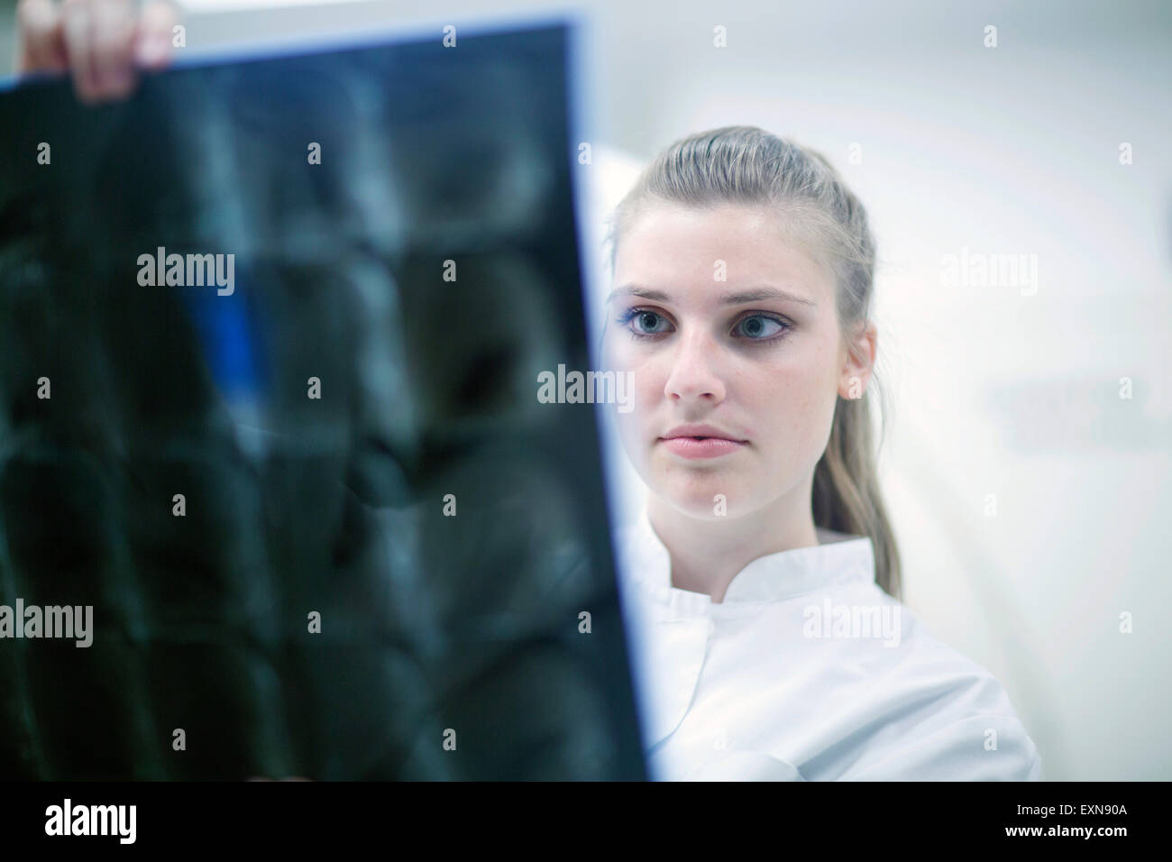 Junge Ärztin im Krankenhaus Röntgen zu betrachten Stockfoto