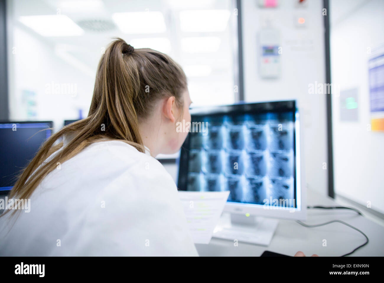 Junge Ärztin im Krankenhaus Computerbildschirm betrachten Stockfoto