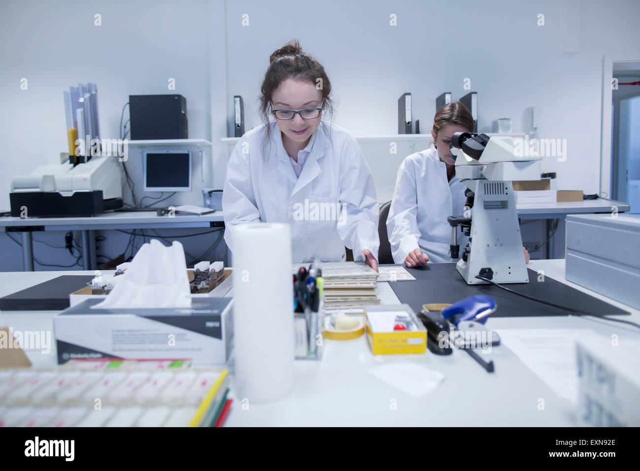 Labratory Assistenten arbeiten im medizinischen Labor Stockfoto