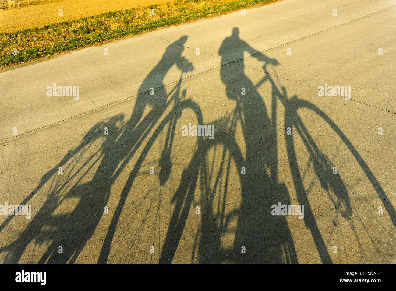 Schatten des Paares auf Fahrrädern Stockfoto