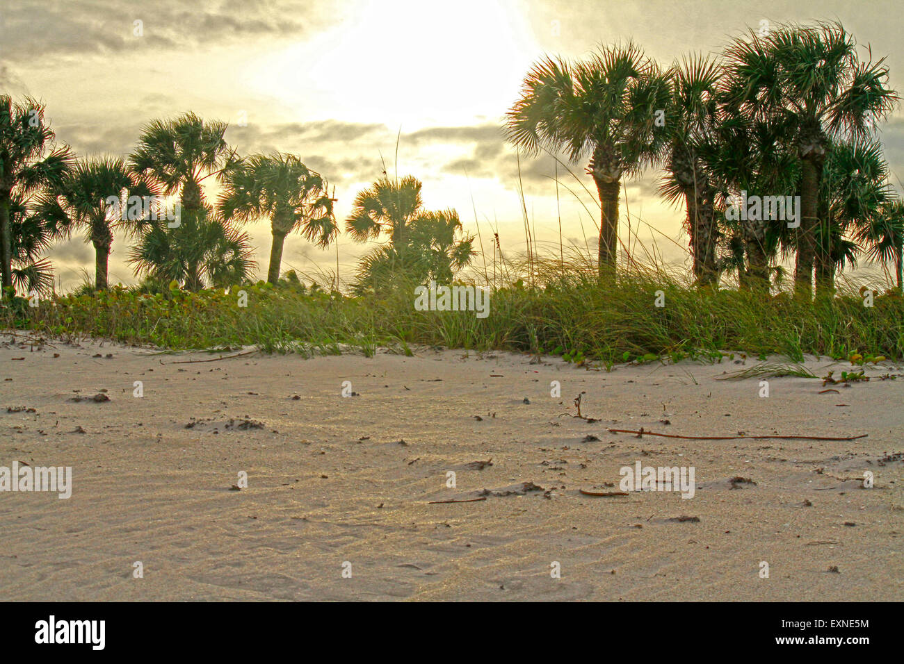 Sonnenuntergang am Strand, Vero Beach, Florida Stockfoto