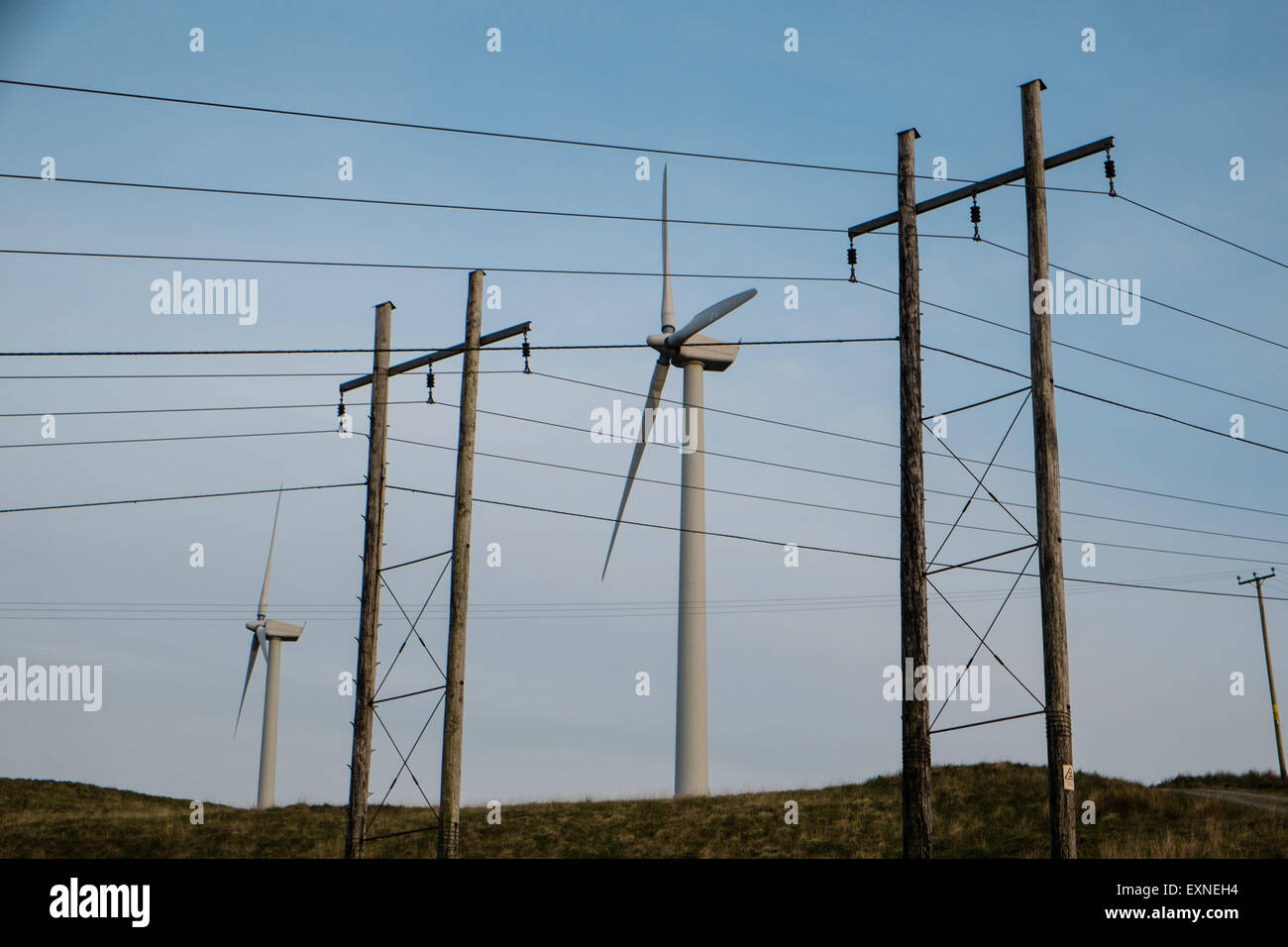 Pylone mit Strom aus Rheidol Wasserkraftwerk und Windkraftanlagen im Windpark Rheidol, Turbine, Power, Powys, Wales Stockfoto