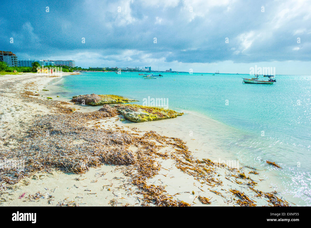 Strände der Insel Aruba Stockfoto