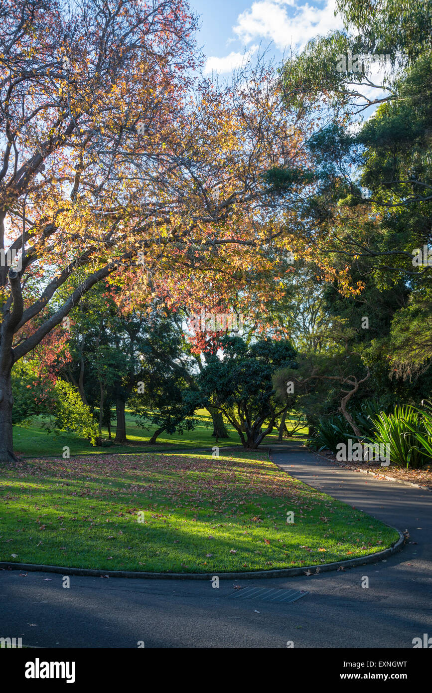 Royal Botanic Gardens, Sydney, Australien Stockfoto