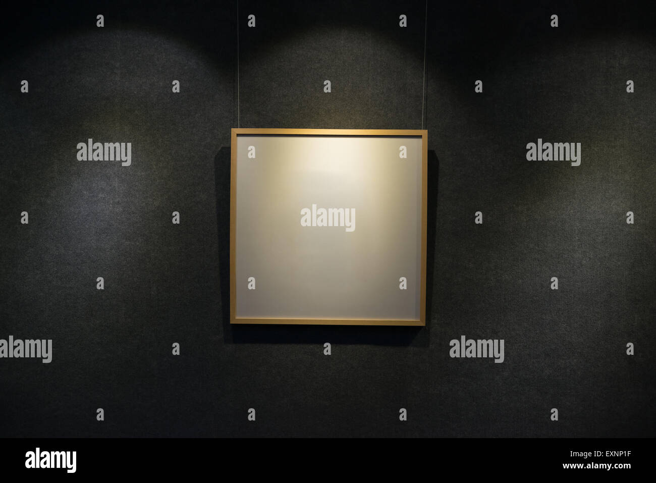 leeres Displayrahmen hervorgehoben in einem showroom Stockfoto