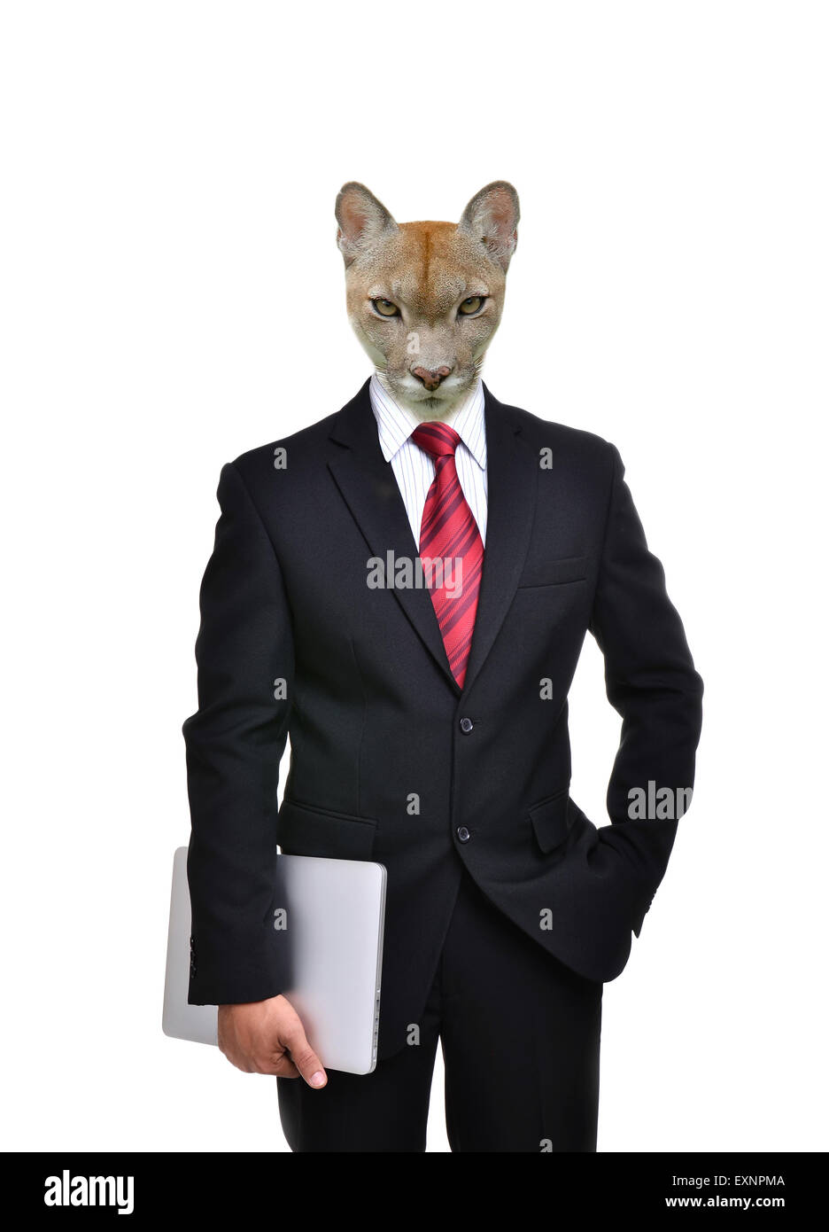Geschäftsmann mit Tierkopf isoliert auf weißem Hintergrund Stockfoto