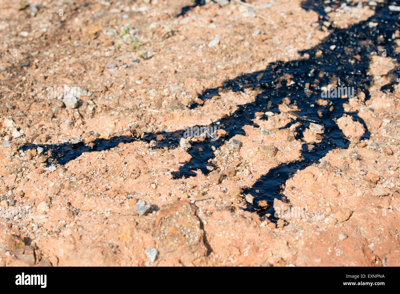 Crude Öl verunreinigen, Umwelt Stockfoto