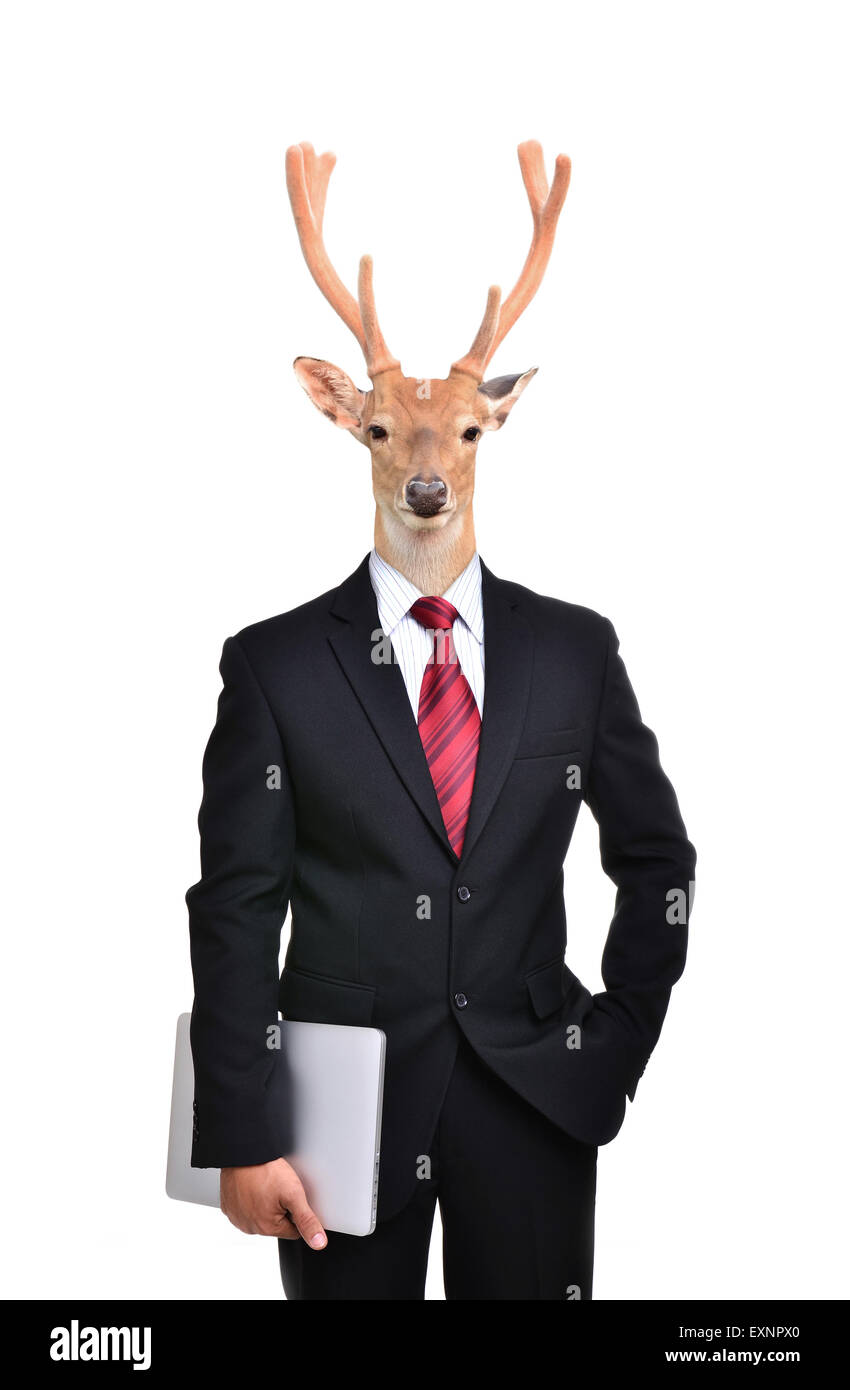 Geschäftsmann mit Hirschkopf isoliert auf weißem Hintergrund Stockfoto