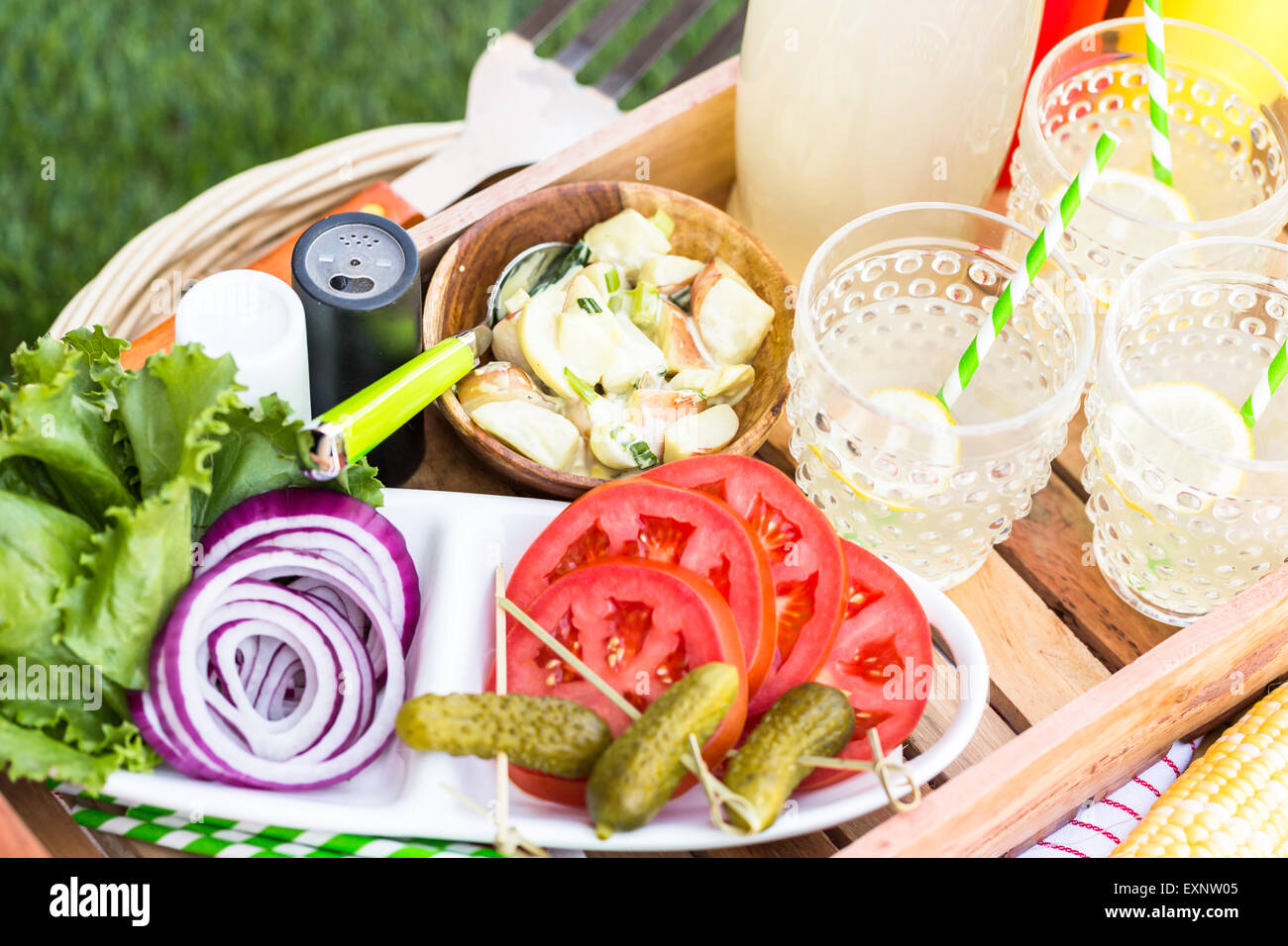 Kleine Sommer-Picknick mit Limonade und Hamburger in den Park. Stockfoto