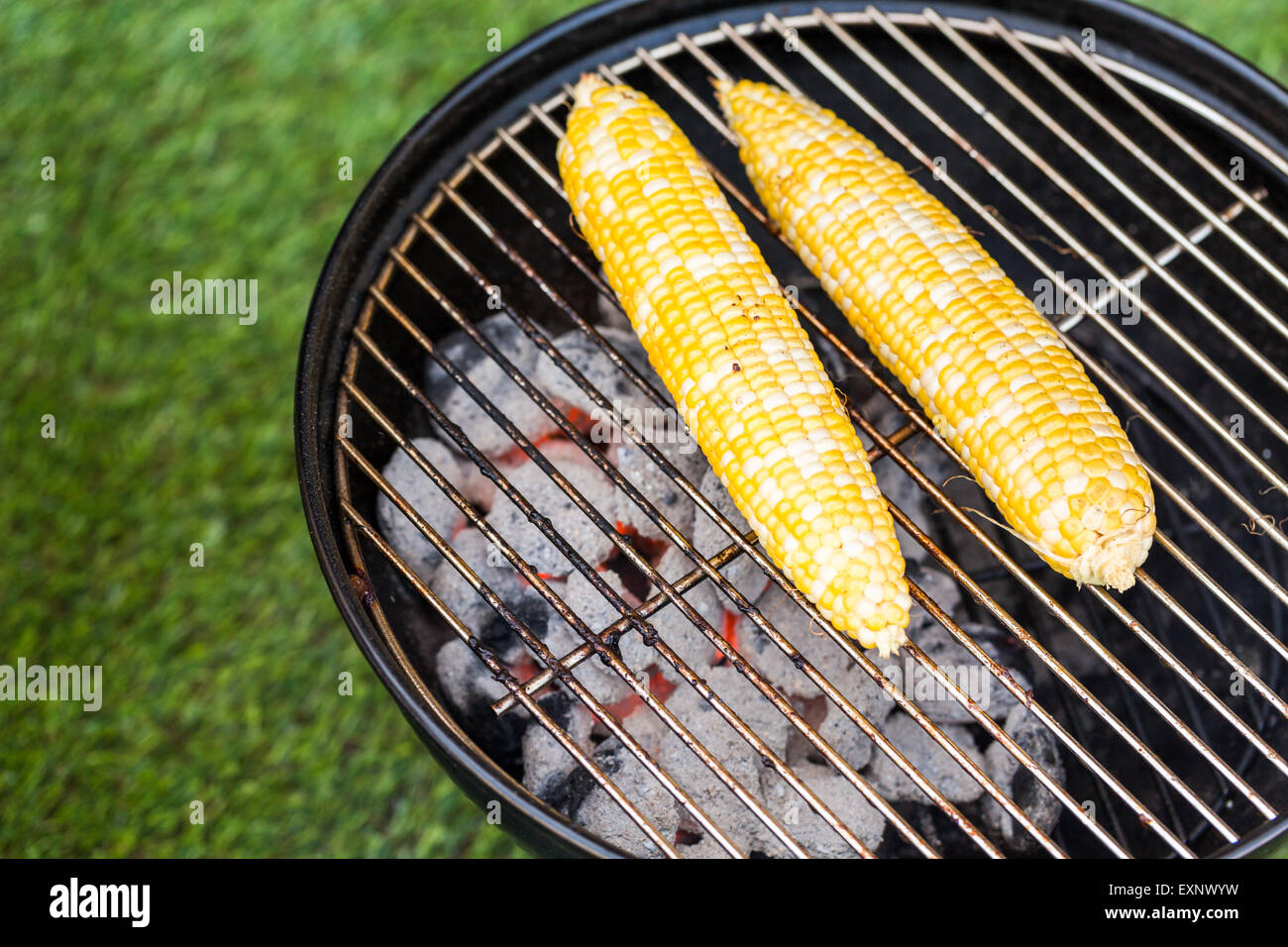 Kleine Sommer-Picknick mit Limonade und Hamburger in den Park. Stockfoto