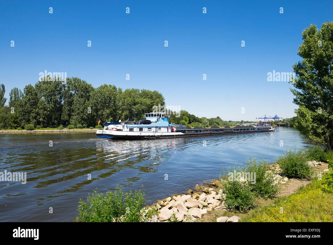 Kohlefrachter am Fluss Main direkt an der Mainspitze-Dreieck, wo der Rhein in den Main, Ginsheim, Hessen, Deutschland fließt Stockfoto