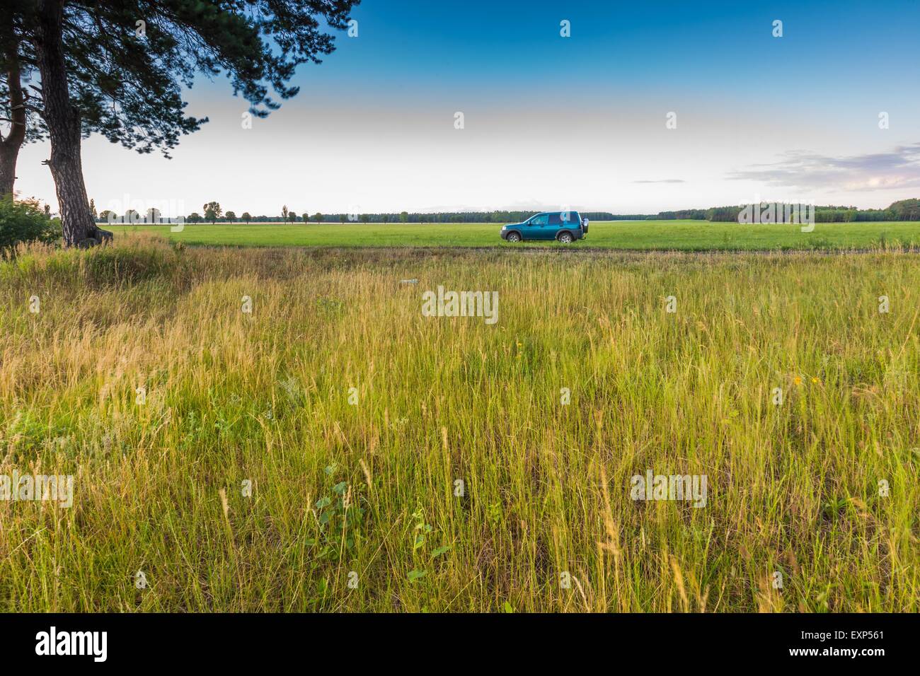 Ländliche Wiese Landschaft mit grünen Geländewagen. Schöne ländliche Landschaft im Sommer. Stockfoto