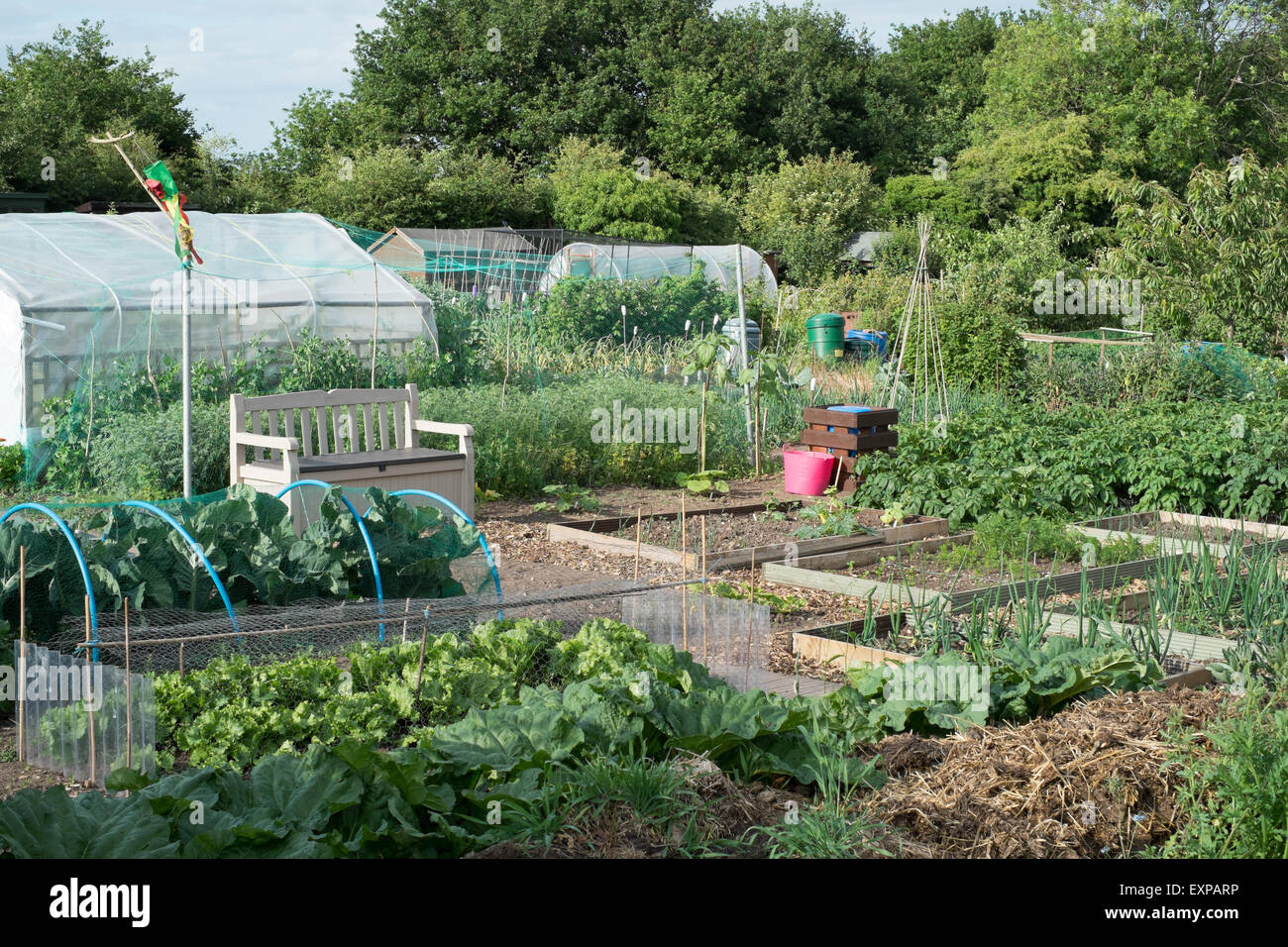 Englische Zuteilung mit Kunststoff Gewächshäuser-Gartenhaus und Garten-Sitzplatz Stockfoto
