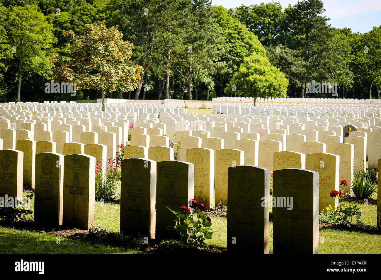 Tausende von Grabsteinen in Etaples Militärfriedhof in Nordfrankreich Stockfoto