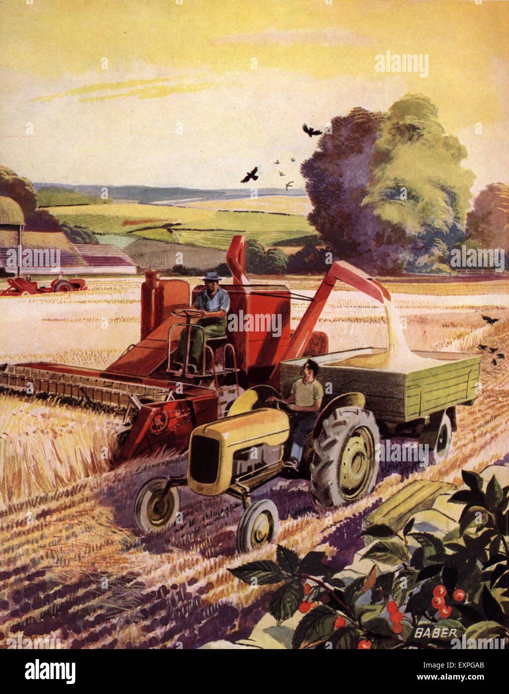 1950er Jahre UK Traktoren Landwirtschaft Zeitschrift Platte