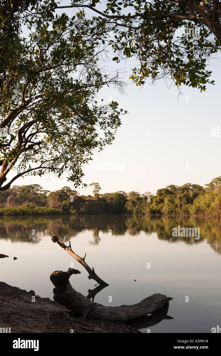 Xingu indigenen Park, Mato Grosso, Brasilien. Aldeia Matipu; der Hafen am Fluss Kuluene. Stockfoto