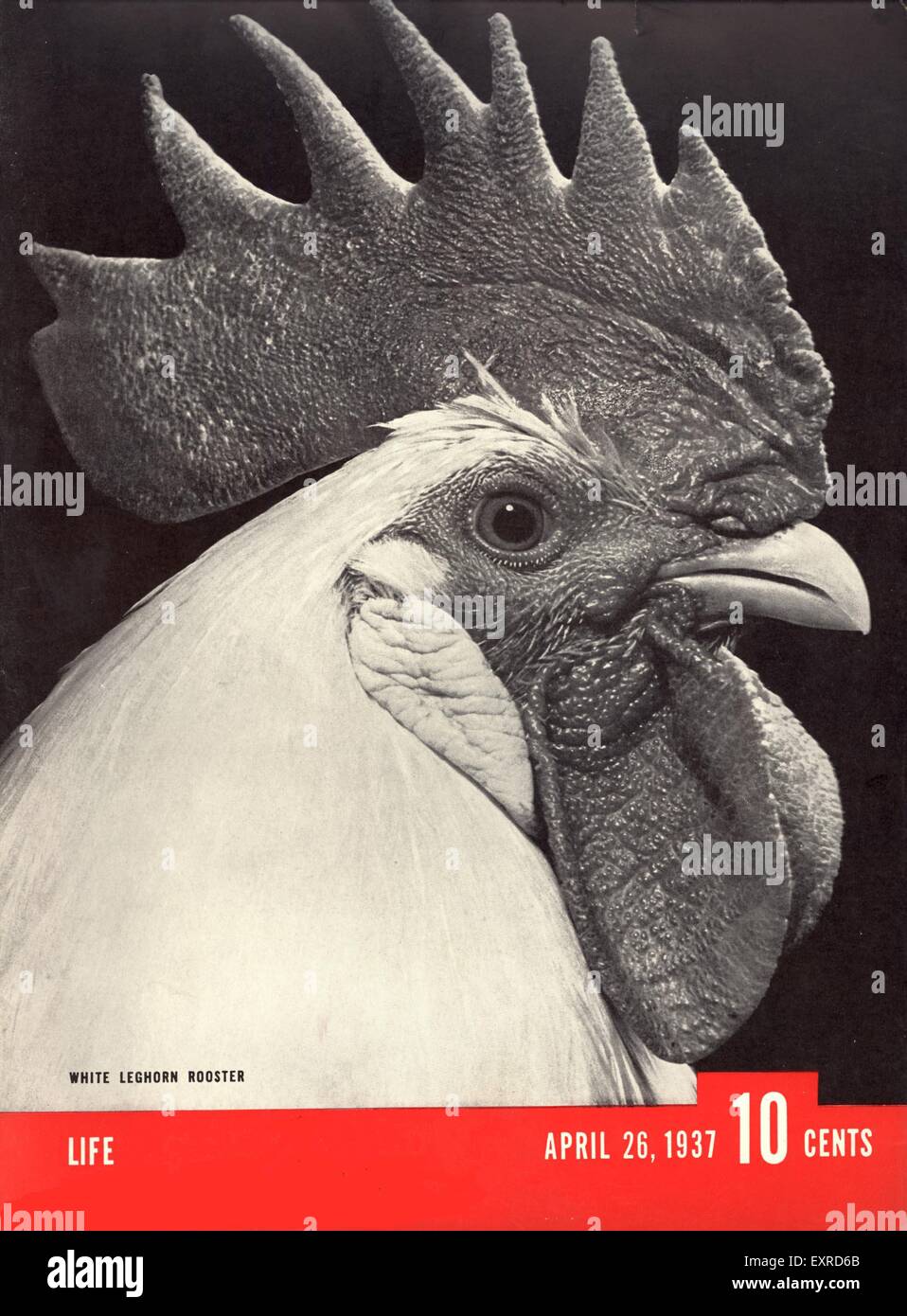 1930er Jahren USA leben Magazin-Cover Stockfoto