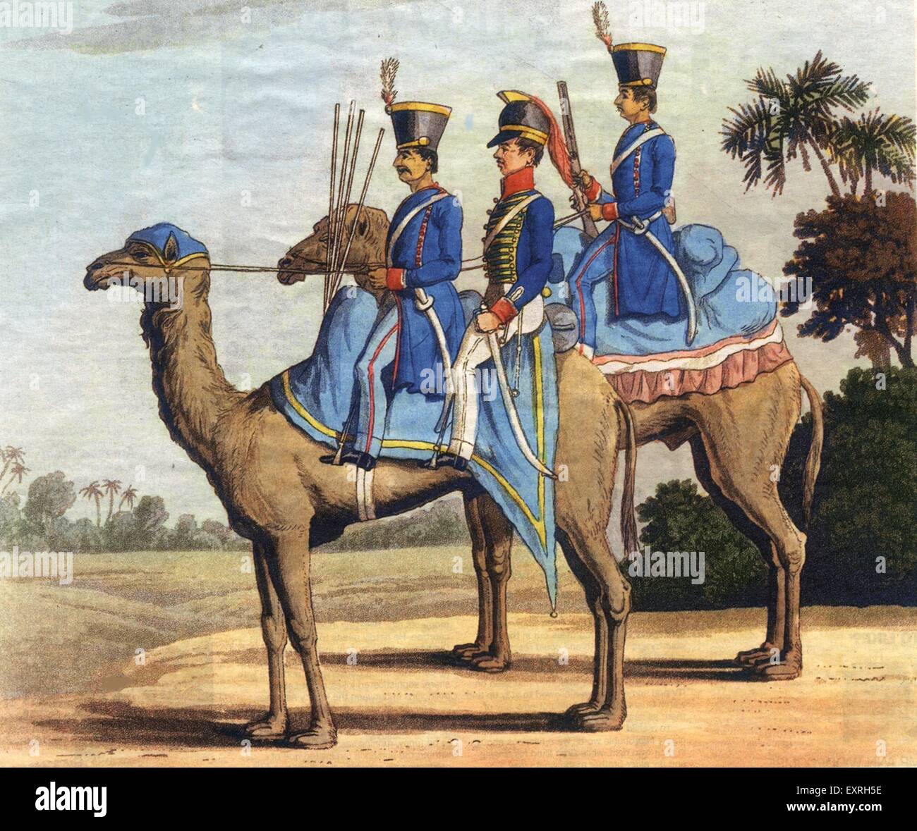 1840er Jahren & Pre UK Bengal Armee Kamele Magazin Platte Stockfoto