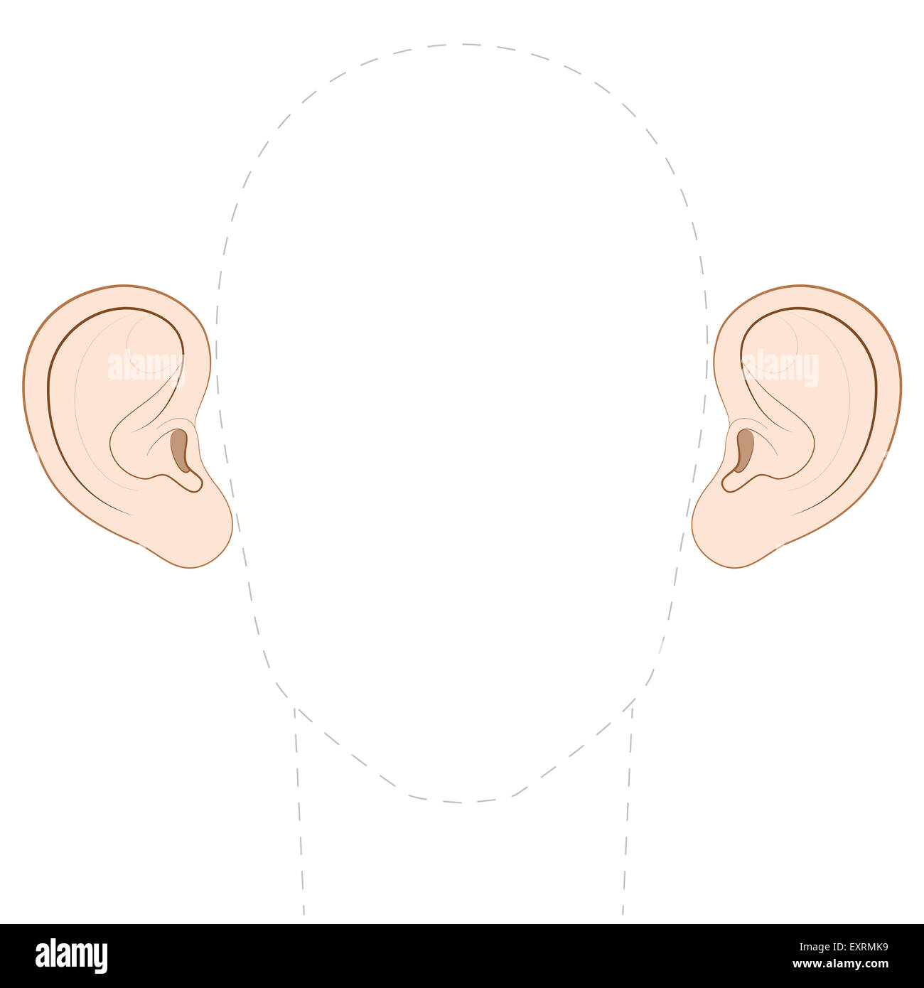 Große abstehende Ohren mit dem leeren Raum zwischen ihnen zu jedem Foto einfügen. Stockfoto