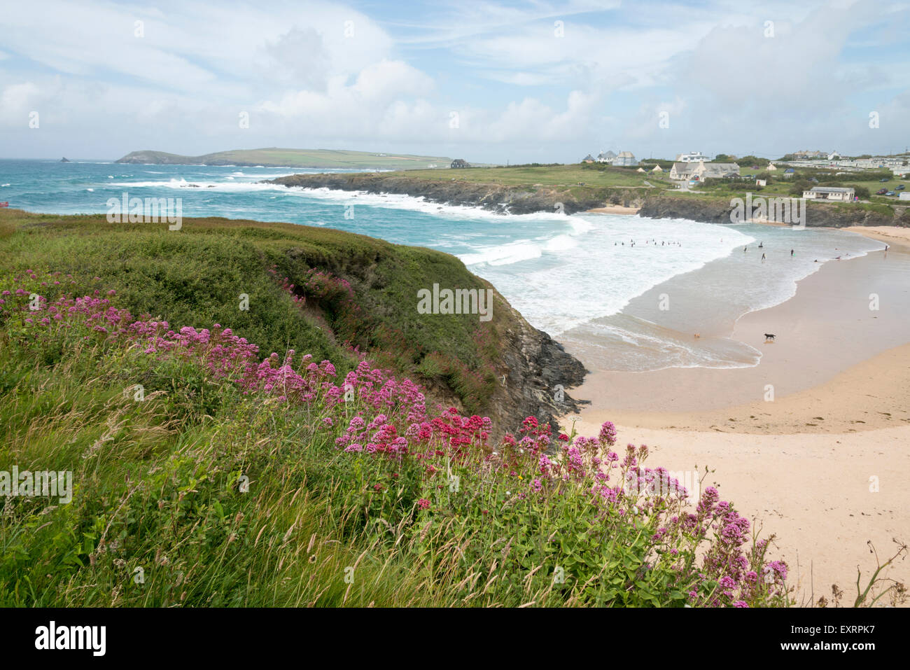 Valerian Wildblumen auf der Klippe und die zerklüftete Küste bei Treyarnon Bay North Cornwall UK Stockfoto