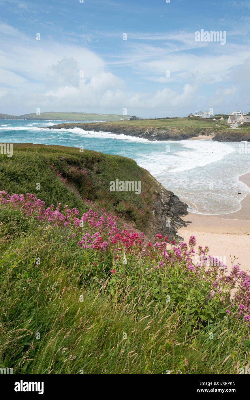 Valerian Wildblumen auf der Klippe und die zerklüftete Küste bei Treyarnon Bay North Cornwall UK Stockfoto