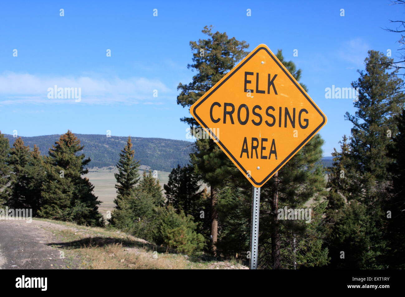 Elk crossing Bereich Straßenschild in New Mexico USA Stockfoto Elk crossing Bereich Straßenschild in New Mexico USA Stockfoto