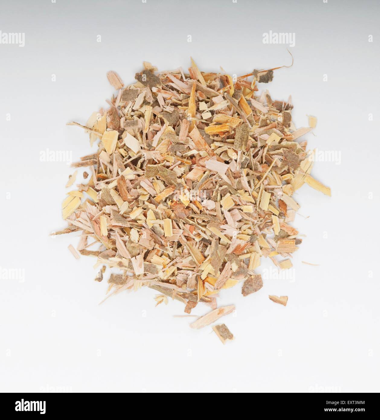 Weidenrinde Stockfoto