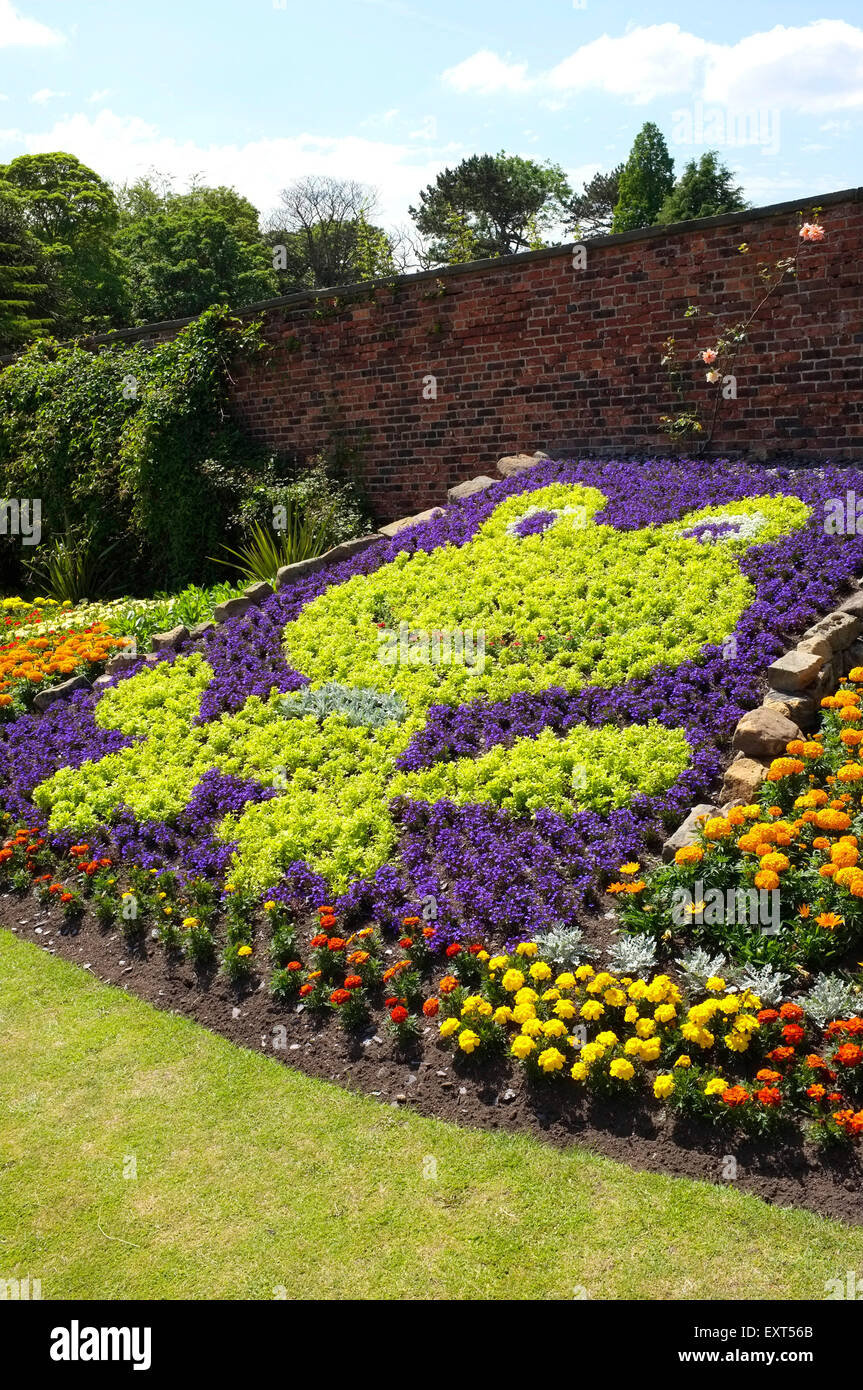 Kermit der Frosch Bett Blumen am Roundhay Park, Leeds, Yorkshire Stockfoto