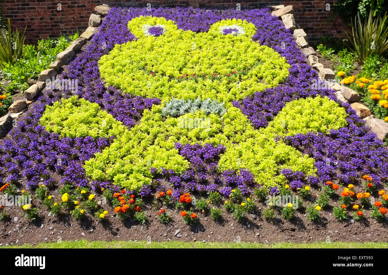 Kermit der Frosch Bett Blumen am Roundhay Park, Leeds, Yorkshire Stockfoto