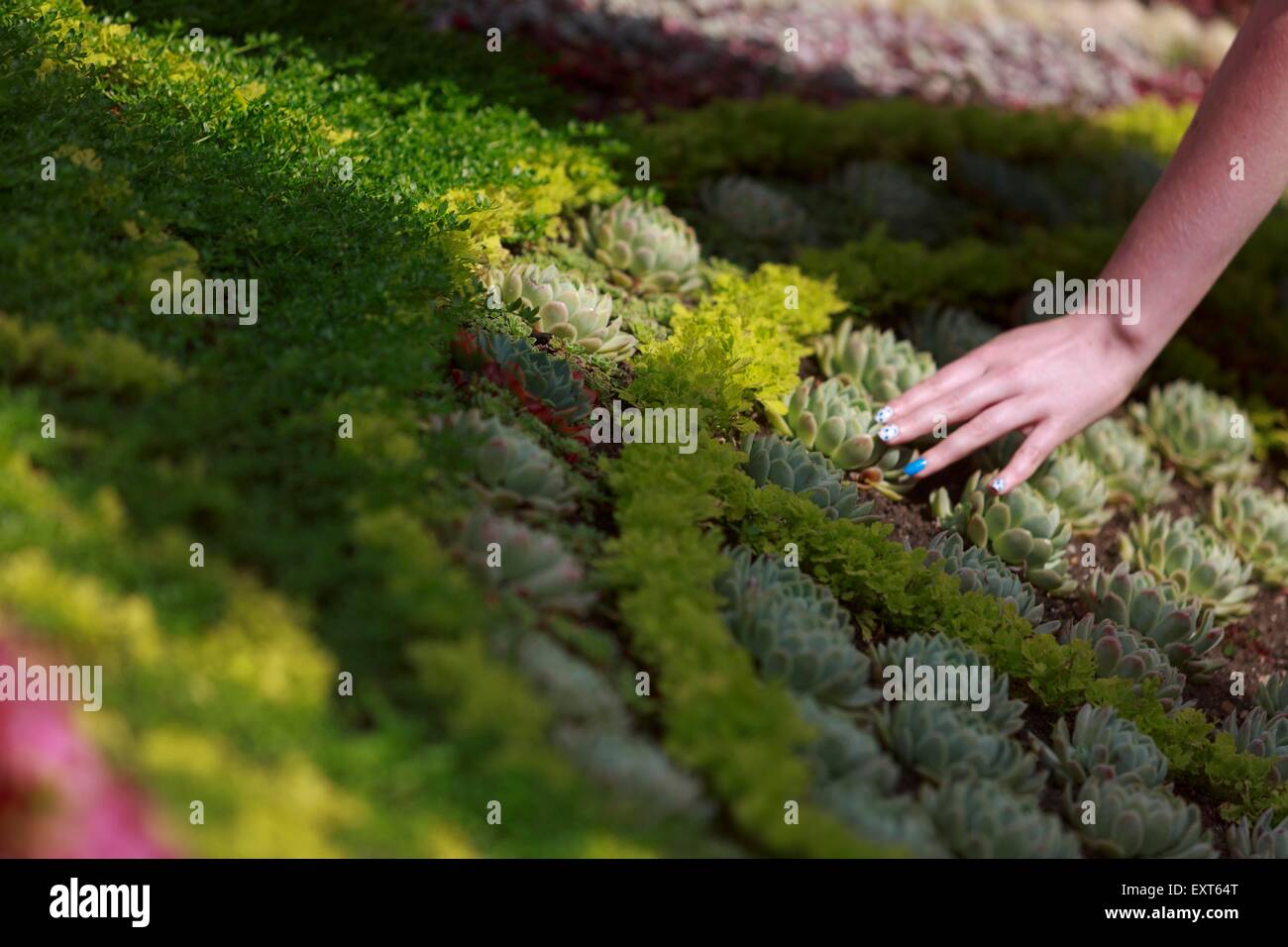 Edinburgh, UK. 16 Juli. Berühmte Blumenuhr, die in diesem Jahr Edinburghs zehn Jahre als ein UNESCO City of Literature feiert. Edinburgh. Abgebildete Jillian Denney. Pako Mera/Alamy Live-Nachrichten Stockfoto