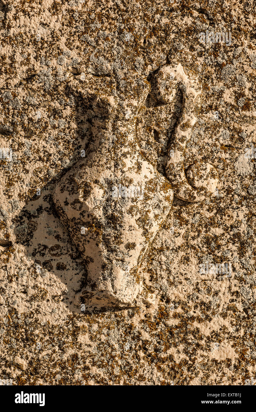 Stele punica Fotos und Bildmaterial in hoher Auflösung Alamy