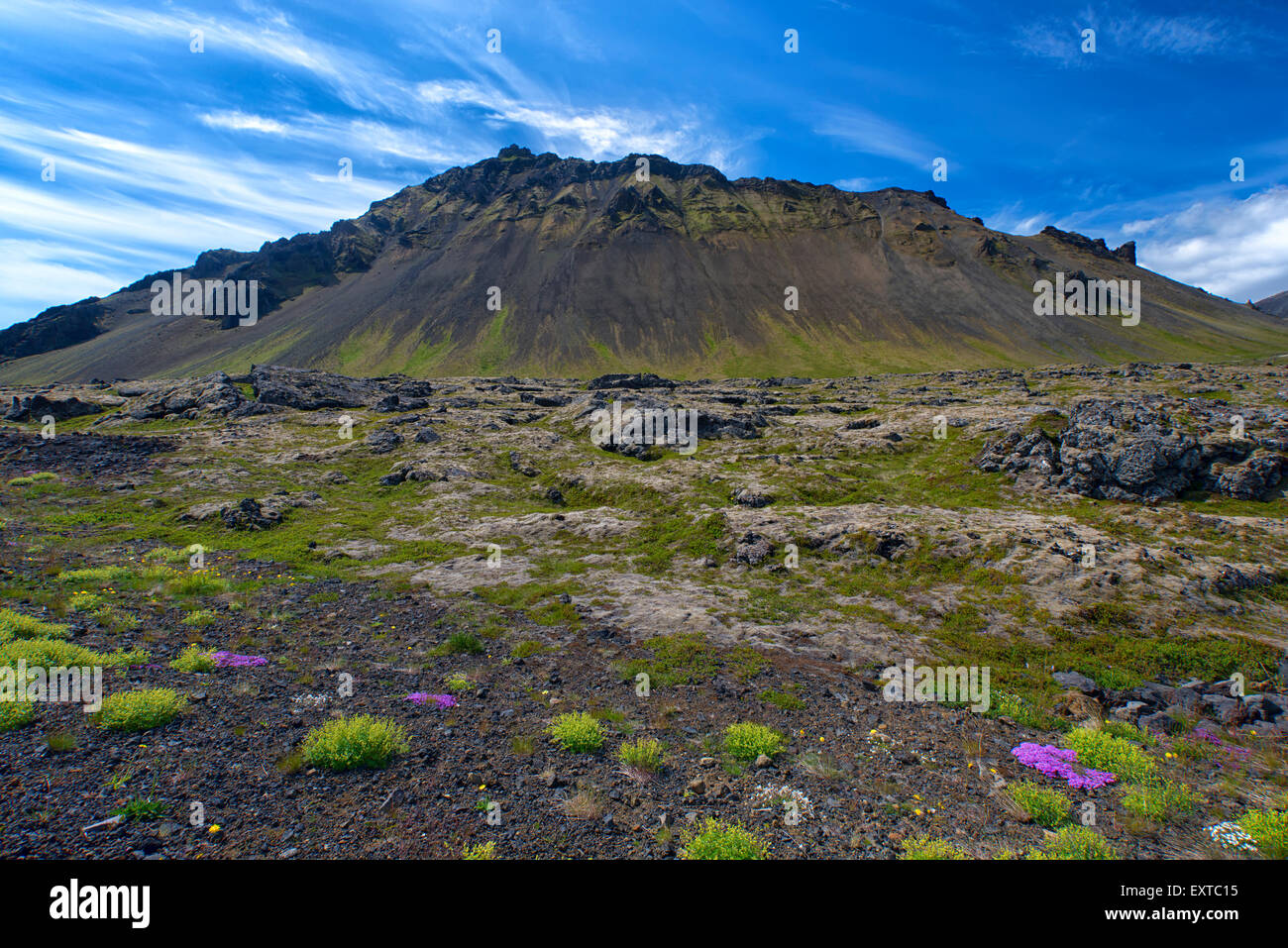 Snaefellsjökull Nationalpark, Island Stockfoto