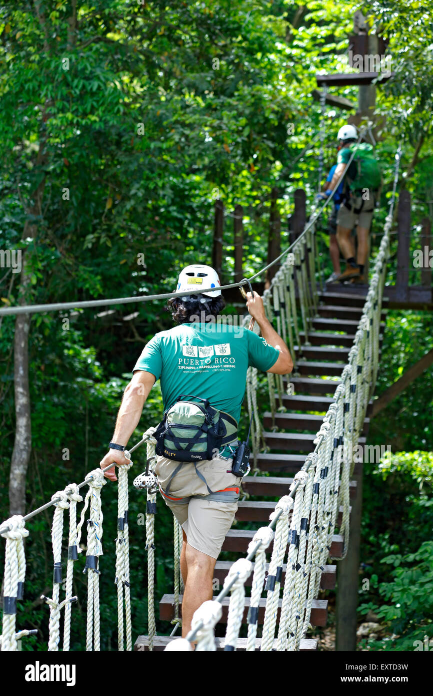 Man überquert ausgesetzt Baldachin Brücke, Ecoquest Abenteuer & Touren, Hacienda Campo Rico, Carolina, Puerto Rico Stockfoto