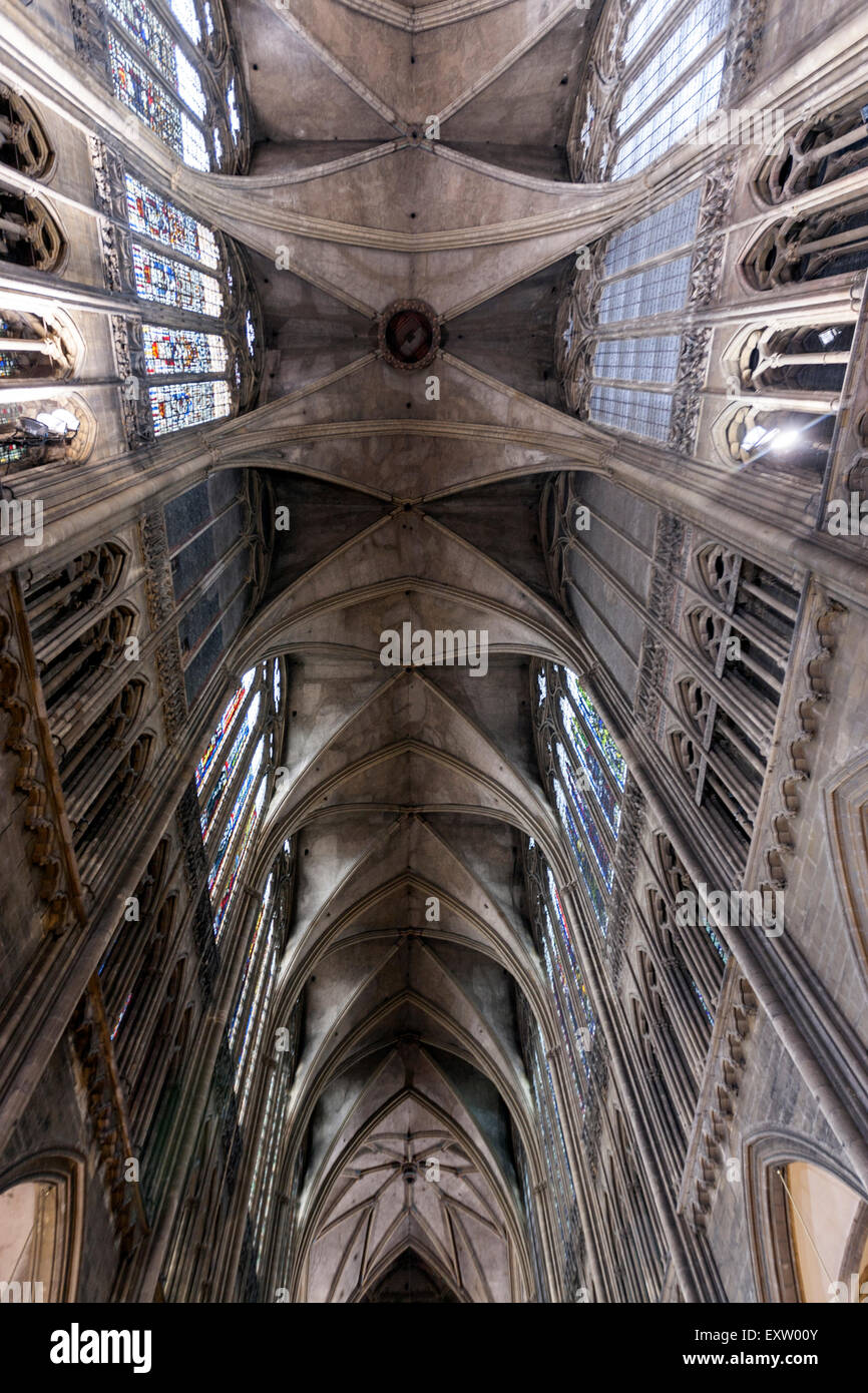 Das Kirchenschiff der Kathedrale von Metz hat Vierparteien Gewölbe, Metz, Lothringen, Frankreich Stockfoto